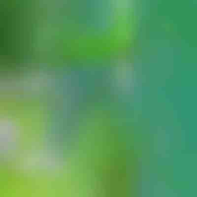 Ένα εργαλείο για την απομάκρυνση ζιζανίων | SPINOUT